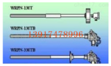 WRPN-330TB鉬基金屬陶瓷管熱電偶