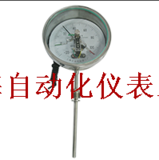 WSSX-482電接點(diǎn)雙金屬溫度計(jì)