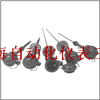 WRNK2-440隔爆型本安型熱電偶